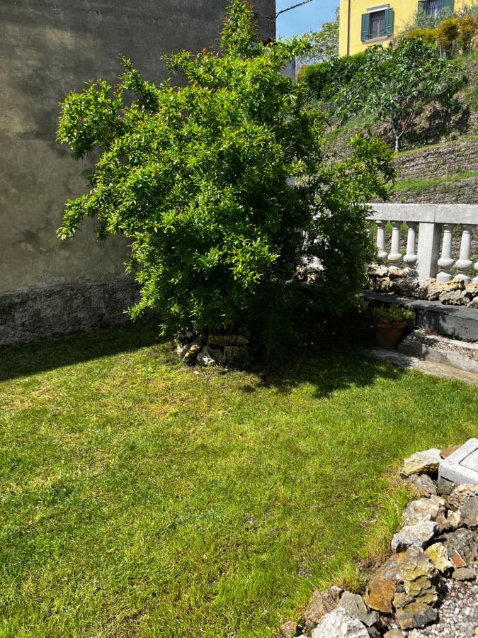 Casale Storico Enzo Villa Castelnuovo del Garda Exterior foto